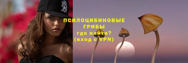 MDMA Бородино