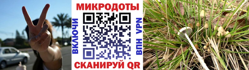 купить наркотик  Выборг  кракен tor  Галлюциногенные грибы ЛСД 