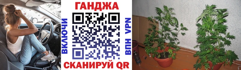 Марихуана White Widow Выборг